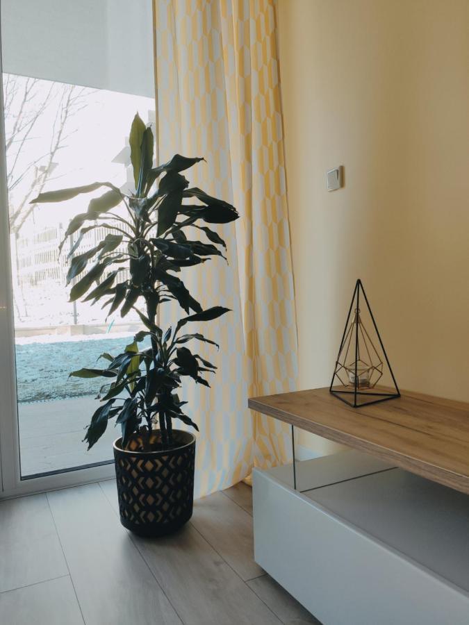 Przytulny Apartament Z Ogrodkiem Krasków Eksteriør bilde