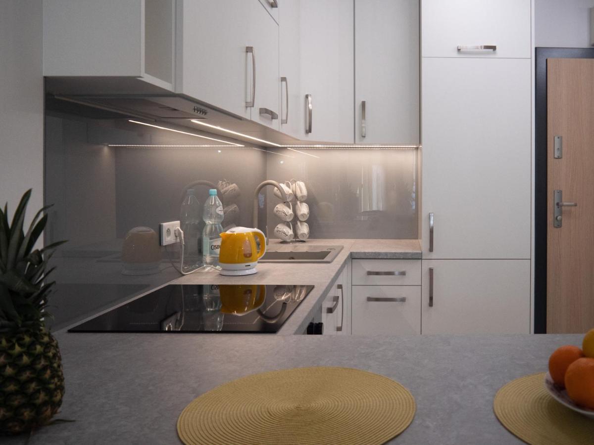 Przytulny Apartament Z Ogrodkiem Krasków Eksteriør bilde